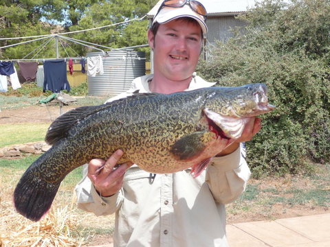 Country Bakehouse Accommodation - Pubs and Clubs 20