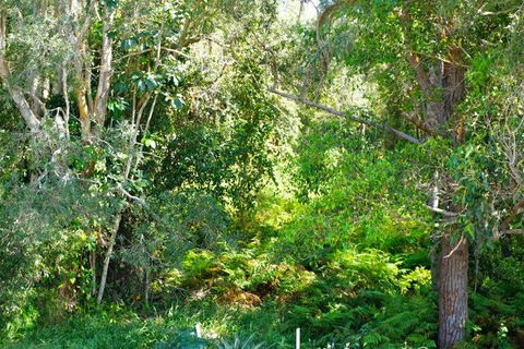 Brunswick Heads Treetop Studio - Pubs and Clubs 20