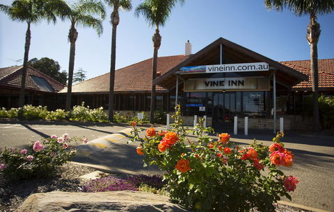 Vine Inn Barossa - Pubs and Clubs 27