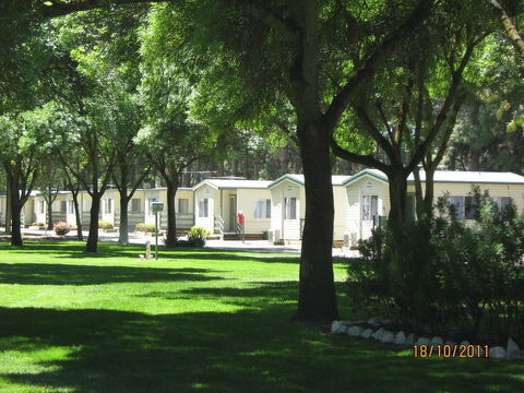 BIG 4 Barossa Tourist Park - Pubs and Clubs 0