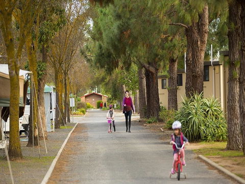 BIG 4 Barossa Tourist Park - Pubs and Clubs 36