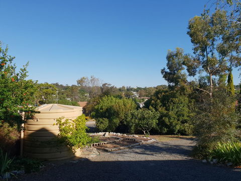 Barossa Valley Studio - Pubs and Clubs 24