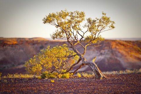 The Lookout Cave Underground Motel - Go Out 22