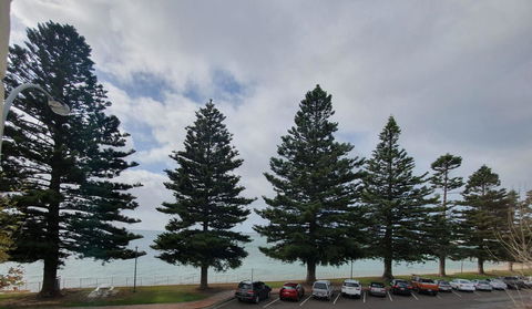 Pier Hotel Port Lincoln - Pubs and Clubs 12