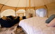 Bukirk Glamping & Fancy Coops - thumb 5