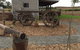Bukirk Glamping & Fancy Coops - thumb 32