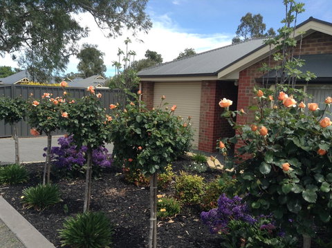 C And C Tanunda - Pubs and Clubs 1