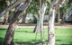 South Shores Yellowfin Villa 96 - South Shores Normanville - thumb 17