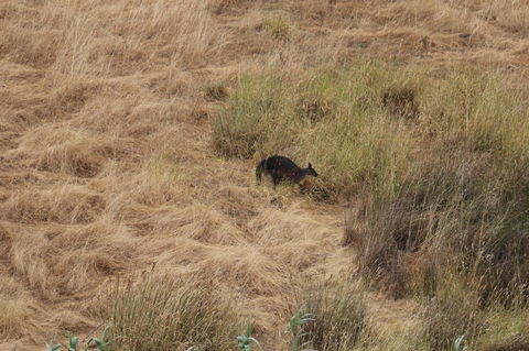 Middle River Beach House - East & West House - Pubs and Clubs 23