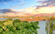 Muse On The Murray - thumb 21