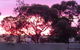 Wudinna Gawler Ranges Motel And Caravan Park - thumb 11