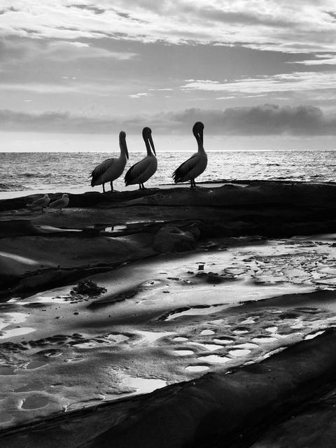 Stylish 3 Bedroom Beachview Apartment - Pubs and Clubs 22