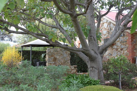 Langmeil Cottages - Pubs and Clubs 3
