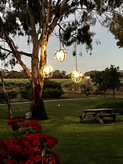 The Reserve Barossa Valley - Pubs and Clubs 19
