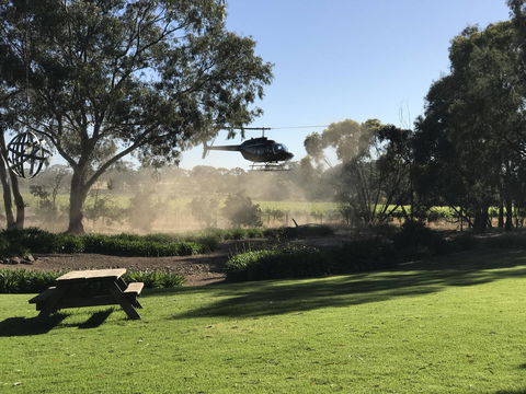 The Reserve Barossa Valley - Pubs and Clubs 3