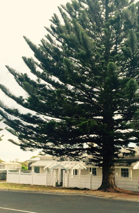 Railway Cottage In Beachport - Pubs and Clubs 13