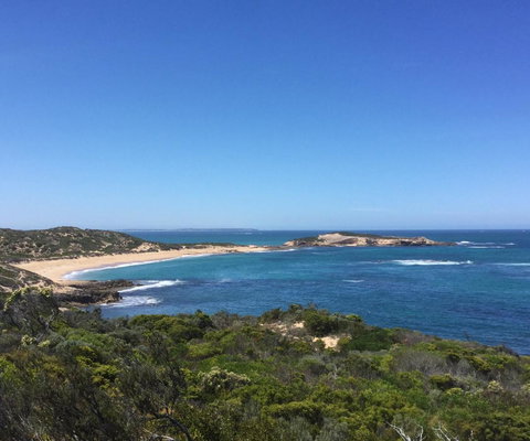 Railway Cottage In Beachport - Pubs and Clubs 9