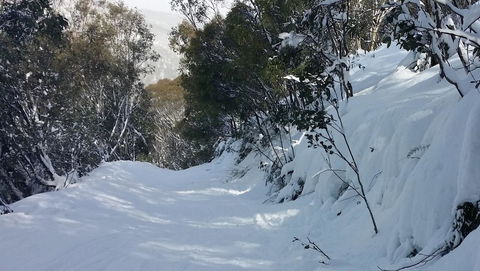 CHILL-OUT - Thredbo - Pubs and Clubs 17