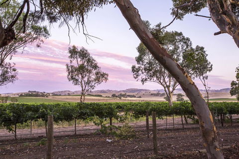 Jasmine\'s Barossa Valley Cottage - Pubs and Clubs 19