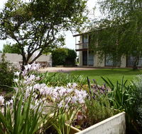 Coonawarra Motor Lodge - Pubs and Clubs