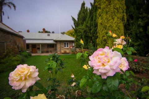 Grand Cru Estate Homestead - Pubs and Clubs 8