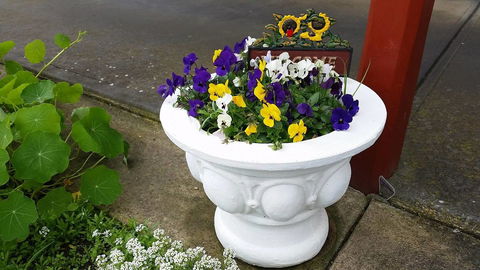 Addies Place Goolwa - Pubs and Clubs 10