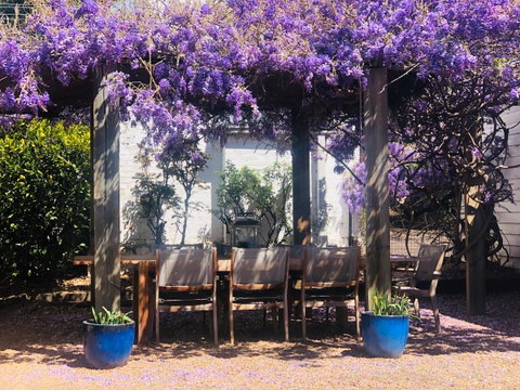 Belmore Cottage - Pubs and Clubs 21