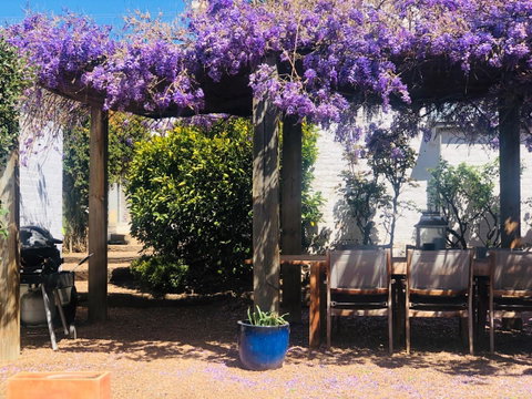 Belmore Cottage - Pubs and Clubs 10