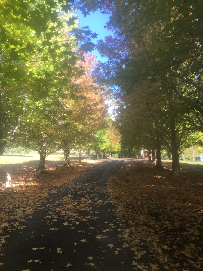 Bonville NSW Go Out