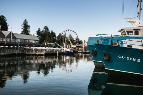 Oceanside 23 - Pubs and Clubs 25