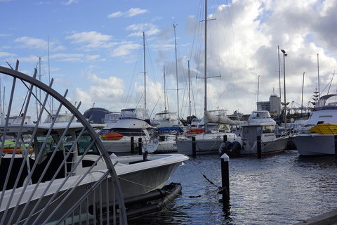 Oceanside 23 - Pubs and Clubs 24