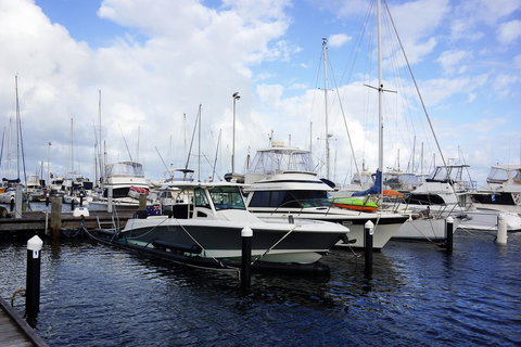 Oceanside 23 - Pubs and Clubs 23