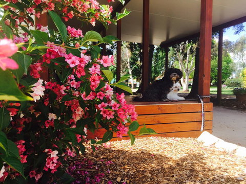 Armidale Tourist Park - Go Out 34