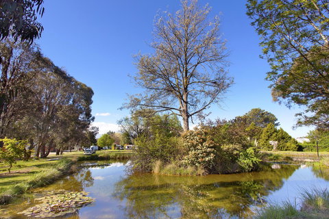 Armidale Tourist Park - Go Out 24