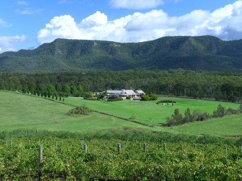 Grapevines Boutique Accommodation - Pubs and Clubs 23