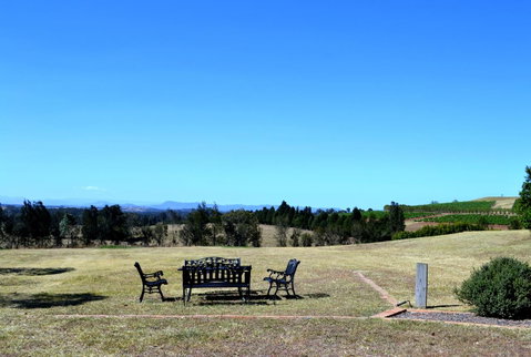 Grapevines Boutique Accommodation - Pubs and Clubs 18