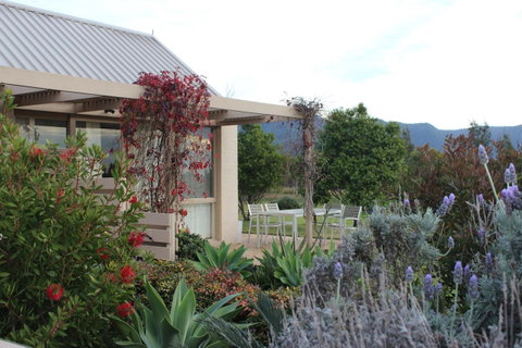 Grapevines Boutique Accommodation - Pubs and Clubs 28