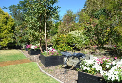 Grapevines Boutique Accommodation - Pubs and Clubs 17