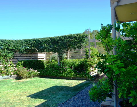 Grapevines Boutique Accommodation - Pubs and Clubs 14