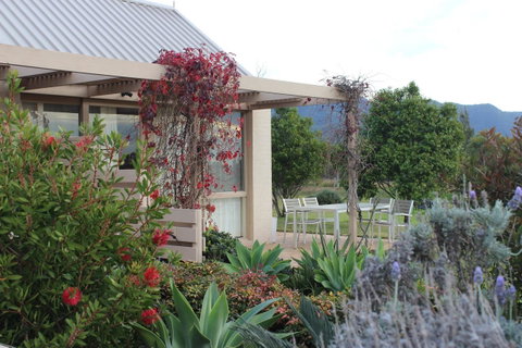 Grapevines Boutique Accommodation - Pubs and Clubs 24