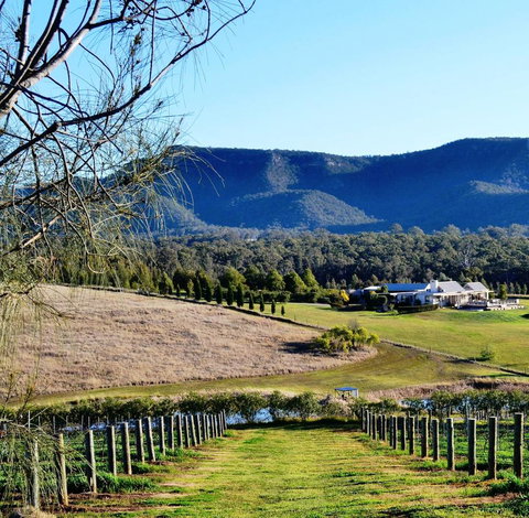 Grapevines Boutique Accommodation - Pubs and Clubs 5