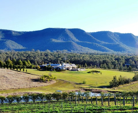 Grapevines Boutique Accommodation - Pubs and Clubs 0