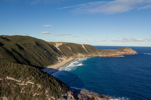 Albany Motel & Apartments - Go Out 21