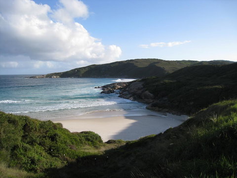 Albany Motel & Apartments - Go Out 23