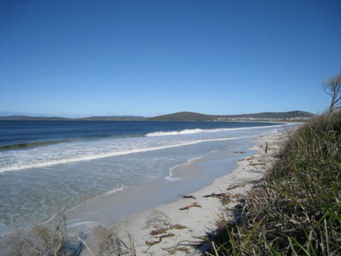 Albany Motel & Apartments - Go Out 18