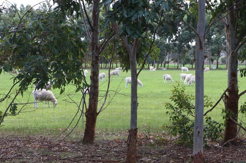 Sapphire Chalets, Augusta - Go Out 10