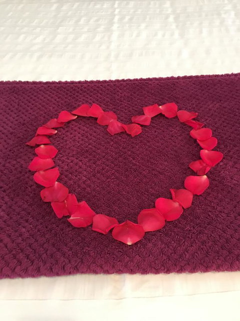 Nelson Bay Bed & Breakfast - Go Out 4