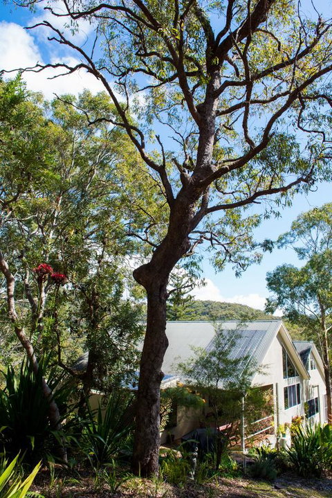 Nelson Bay Bed & Breakfast - Go Out 42