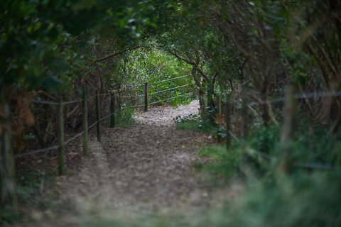 Ingenia Holidays Byron Bay - Go Out 15