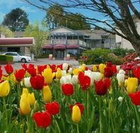 Nesuto Leura Gardens formerly Waldorf Leura Gardens Resort - Pubs and Clubs